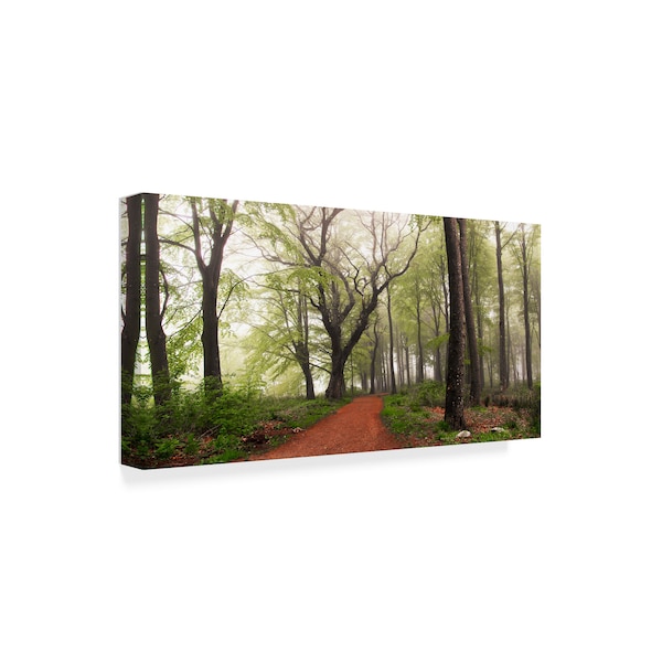 Leif Londal 'Follow The Red Path' Canvas Art,16x32